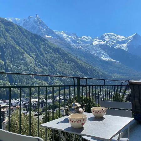 Superbe Pour 4, Balcon, Vue Mont Blanc - Fr-1-343-209 シャモニー